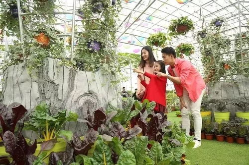 佛山首座5d炸裂玻璃橋,199元2大2小走起 高空飛索山頂直落 機動樂園 山泉水泳場任玩