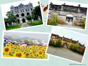 清新、自然，暢聽未來——武宣環豐生態園與九龍潭生態園的生態之旅