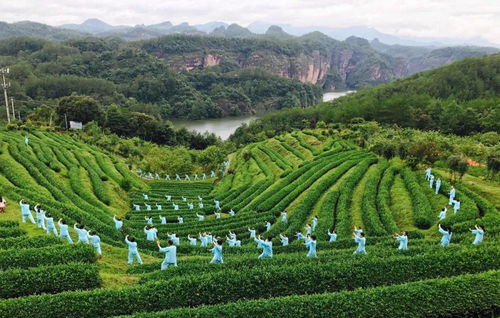 浴境元康養(yǎng)之氣，九龍?zhí)渡鷳B(tài)園祝您端午安康